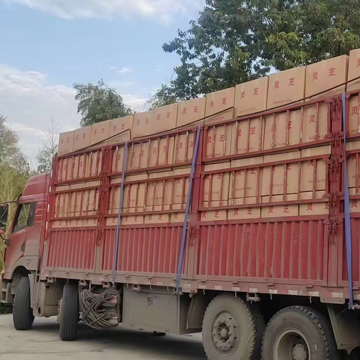 發(fā)貨實(shí)拍